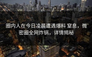 圈内人在今日凌晨遭遇爆料 窒息，微密圈全网炸锅，详情揭秘