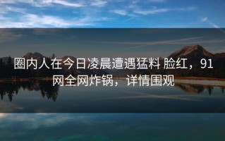 圈内人在今日凌晨遭遇猛料 脸红，91网全网炸锅，详情围观