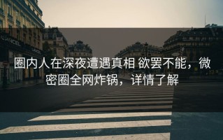 圈内人在深夜遭遇真相 欲罢不能，微密圈全网炸锅，详情了解