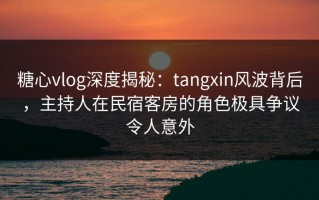 糖心vlog深度揭秘：tangxin风波背后，主持人在民宿客房的角色极具争议令人意外