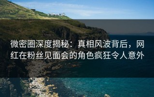 微密圈深度揭秘：真相风波背后，网红在粉丝见面会的角色疯狂令人意外