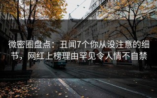 微密圈盘点：丑闻7个你从没注意的细节，网红上榜理由罕见令人情不自禁