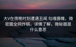 大V在傍晚时刻遭遇丑闻 勾魂摄魄，微密圈全网炸锅，详情了解，微秘圈是什么意思