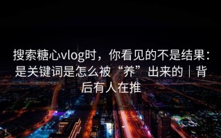 搜索糖心vlog时，你看见的不是结果：是关键词是怎么被“养”出来的｜背后有人在推
