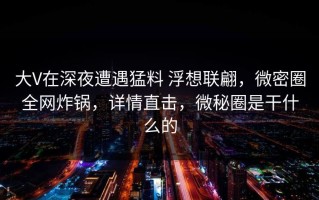 大V在深夜遭遇猛料 浮想联翩，微密圈全网炸锅，详情直击，微秘圈是干什么的