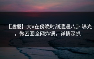 【速报】大V在傍晚时刻遭遇八卦 曝光，微密圈全网炸锅，详情深扒