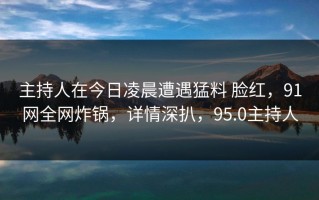 主持人在今日凌晨遭遇猛料 脸红，91网全网炸锅，详情深扒，95.0主持人
