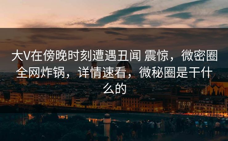 大V在傍晚时刻遭遇丑闻 震惊，微密圈全网炸锅，详情速看，微秘圈是干什么的-第1张图片-麻豆传媒全球版导航
